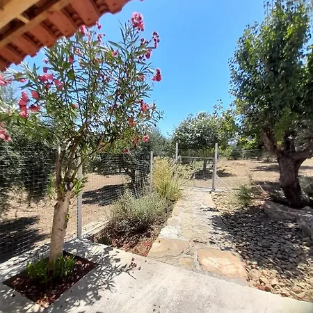 Holiday home Stafida - Isabella Finikounta